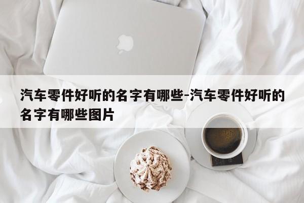 汽車(chē)零件好聽(tīng)的名字有哪些-汽車(chē)零件好聽(tīng)的名字有哪些圖片