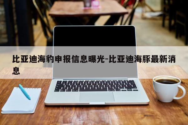 比亞迪海豹申報信息曝光-比亞迪海豚最新消息