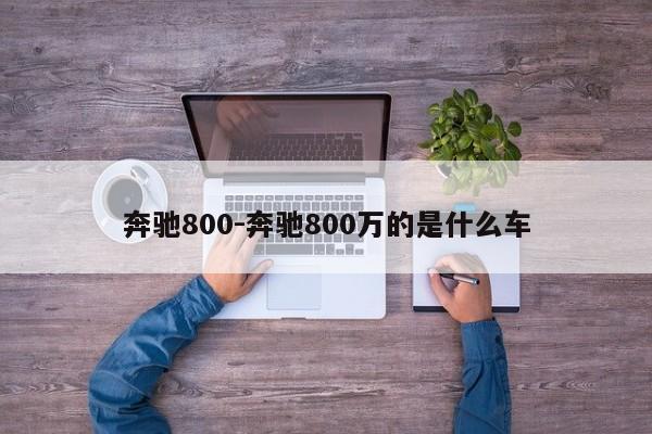 奔馳800-奔馳800萬(wàn)的是什么車