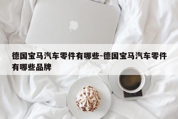 德國(guó)寶馬汽車(chē)零件有哪些-德國(guó)寶馬汽車(chē)零件有哪些品牌