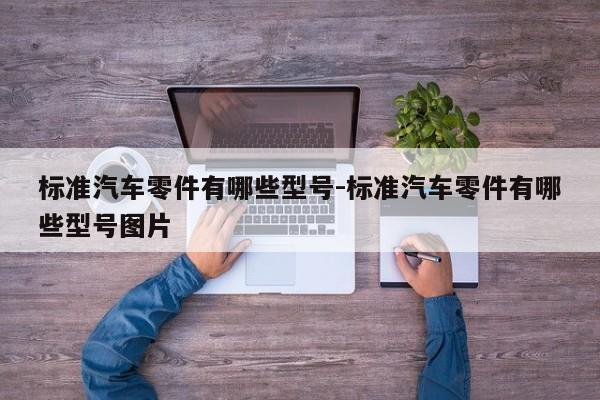 標(biāo)準(zhǔn)汽車(chē)零件有哪些型號(hào)-標(biāo)準(zhǔn)汽車(chē)零件有哪些型號(hào)圖片