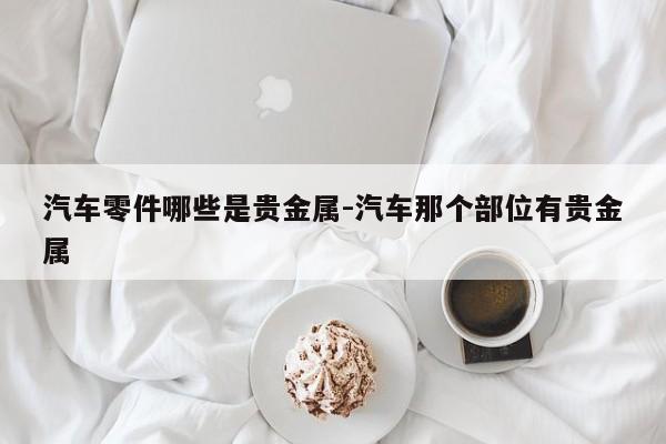 汽車(chē)零件哪些是貴金屬-汽車(chē)那個(gè)部位有貴金屬