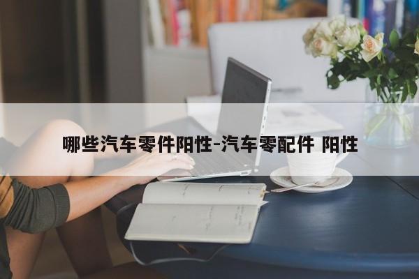 哪些汽車零件陽(yáng)性-汽車零配件 陽(yáng)性