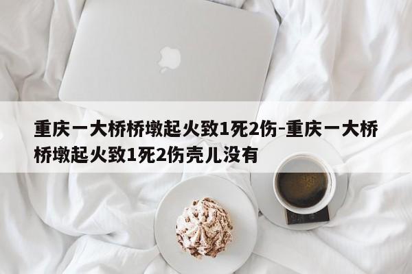 重慶一大橋橋墩起火致1死2傷-重慶一大橋橋墩起火致1死2傷殼兒沒有