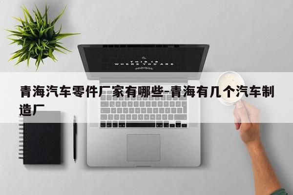 青海汽車零件廠家有哪些-青海有幾個汽車制造廠