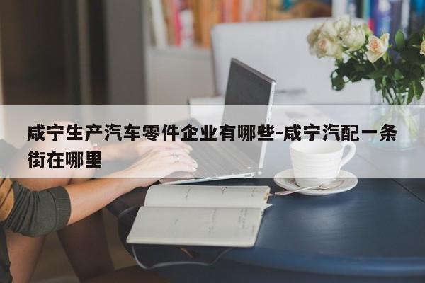 咸寧生產(chǎn)汽車零件企業(yè)有哪些-咸寧汽配一條街在哪里