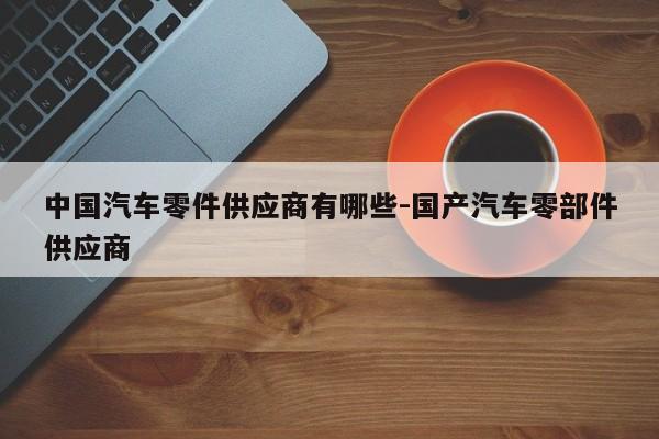 中國(guó)汽車零件供應(yīng)商有哪些-國(guó)產(chǎn)汽車零部件供應(yīng)商