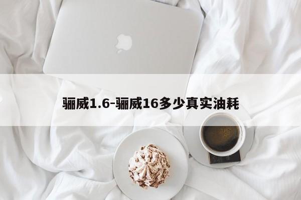 驪威1.6-驪威16多少真實(shí)油耗