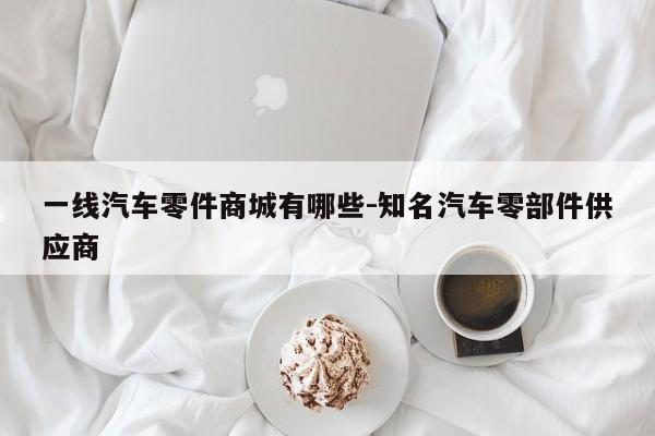 一線汽車零件商城有哪些-知名汽車零部件供應商