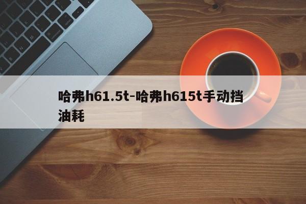哈弗h61.5t-哈弗h615t手動(dòng)擋 油耗