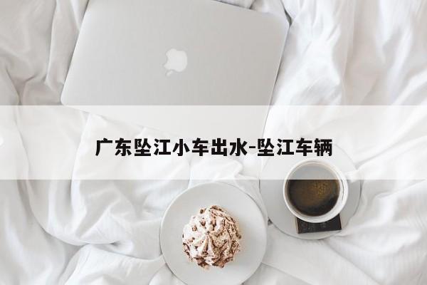 廣東墜江小車(chē)出水-墜江車(chē)輛