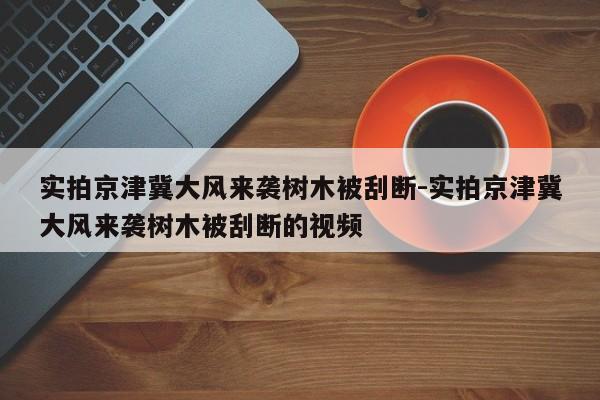 實拍京津冀大風(fēng)來襲樹木被刮斷-實拍京津冀大風(fēng)來襲樹木被刮斷的視頻