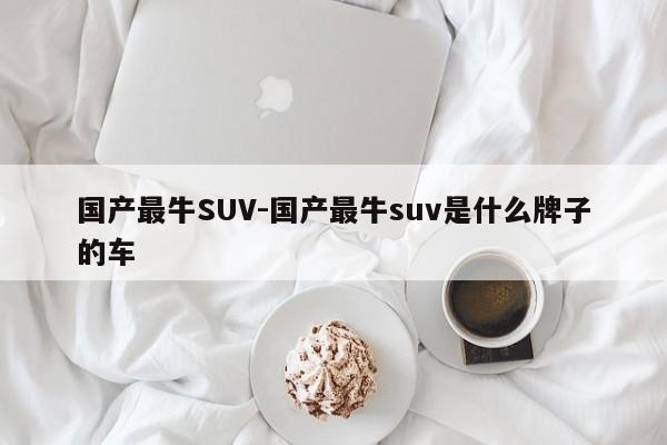 國(guó)產(chǎn)最牛SUV-國(guó)產(chǎn)最牛suv是什么牌子的車(chē)